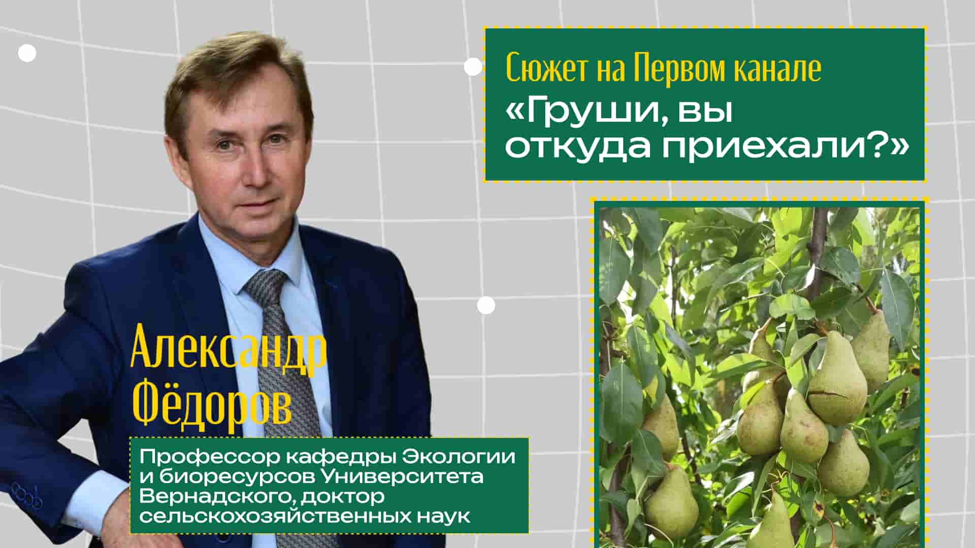 Профессор Университета Вернадского выступил экспертом программы «Доброе утро» на Первом канале