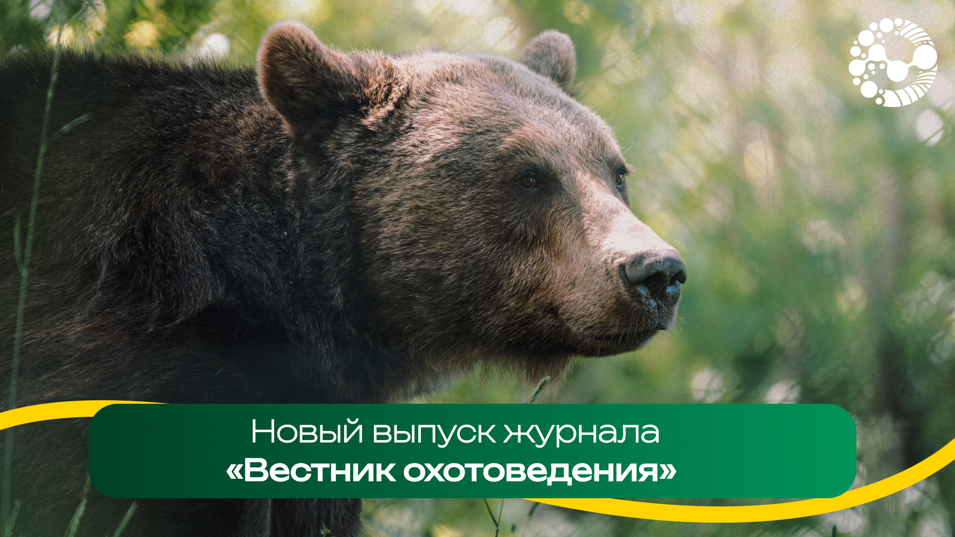 Вышел новый номер журнала Университета Вернадского «Вестник охотоведения»